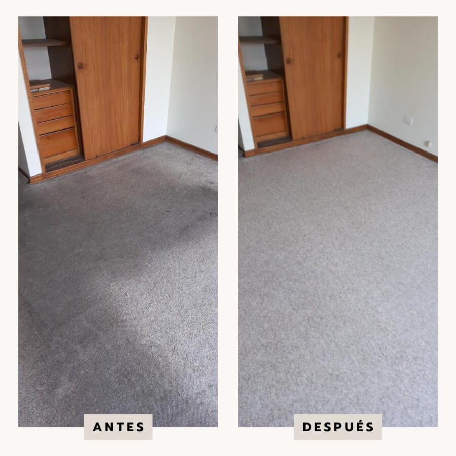 Lavado de alfombras