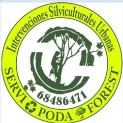 "ServiPOD@-FOREST"