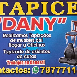 Tapicería dani