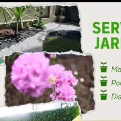 Jardinero jazmin